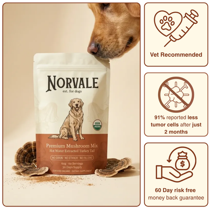 Norvale™ Mushroom Mix